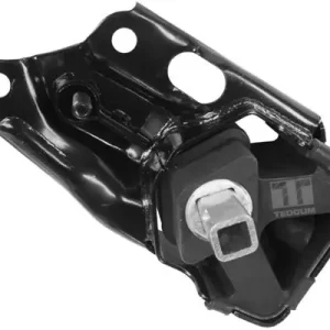 Niska cena Łożyskowanie, wspornik automatycznej skrzyni biegów TEDGUM 00192768