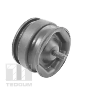 Łożyskowanie silnika TEDGUM 00221175 Tylko dziś
