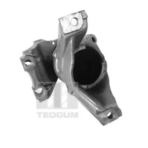 Kup teraz Łożyskowanie silnika TEDGUM 00269182