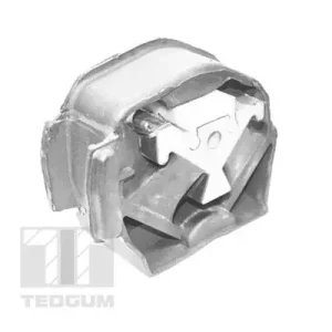 Łożyskowanie silnika TEDGUM 00416328 Kup teraz