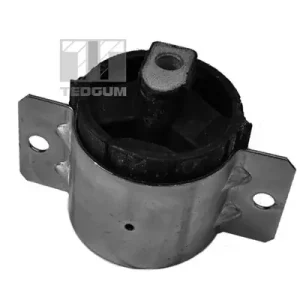 Mocowanie, wspornik mechanicznej skrzyni biegów TEDGUM 00416330 Premium