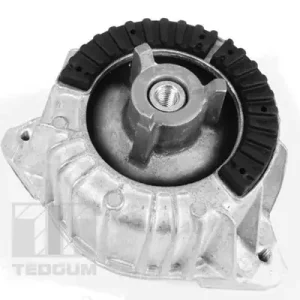 Tylko dziś Łożyskowanie silnika TEDGUM 00418473
