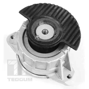Łożyskowanie silnika TEDGUM 00418476 Ekspresowa dostawa
