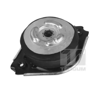 Promocja Łożyskowanie silnika TEDGUM 00418536