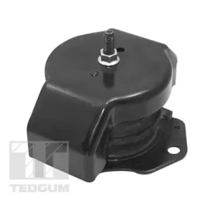 Łożyskowanie silnika TEDGUM 00449806 Wyprzedaż