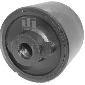 Popularny Łożyskowanie, wahacz TEDGUM 00463116