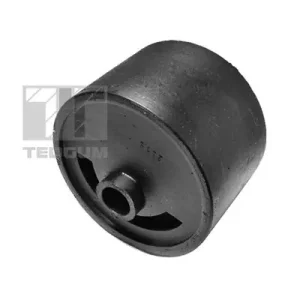 Tani Łożyskowanie silnika TEDGUM 00466844