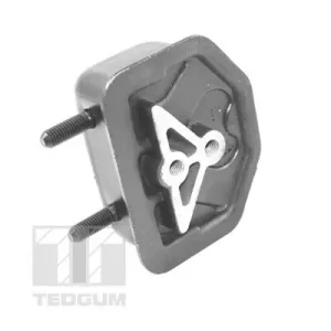 Łożyskowanie silnika TEDGUM 00500590 Ostatnia szansa