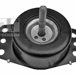 Tani Łożyskowanie silnika TEDGUM 00505737