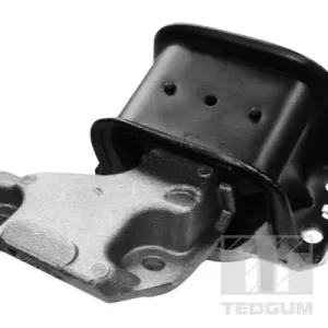 Łożyskowanie silnika TEDGUM 00511756 Promocja