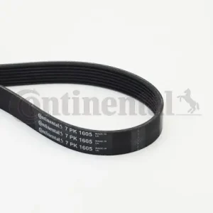 Pasek klinowy wielorowkowy CONTINENTAL CTAM 7PK1605 Najlepsza cena