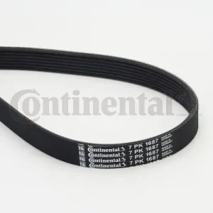 Tani Pasek klinowy wielorowkowy CONTINENTAL CTAM 7PK1687