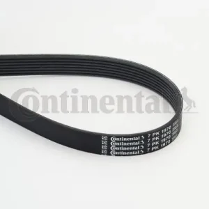 Tani Pasek klinowy wielorowkowy CONTINENTAL CTAM 7PK1970