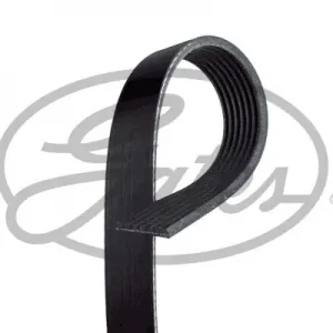 Zamów teraz Pasek klinowy wielorowkowy GATES 7PK2418
