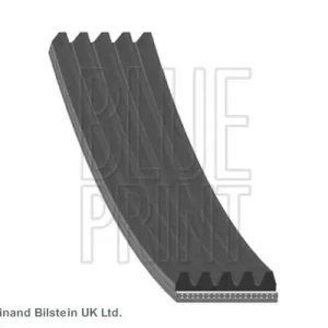 Pasek klinowy wielorowkowy BLUE PRINT AD05R1135 Autentyczny