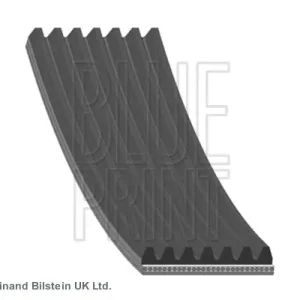 Oferta Pasek klinowy wielorowkowy BLUE PRINT AD07R1153