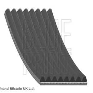 Pasek klinowy wielorowkowy BLUE PRINT AD08R1225 Oferta limitowana