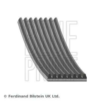 Pasek klinowy wielorowkowy BLUE PRINT AD08R1295 Oryginalny