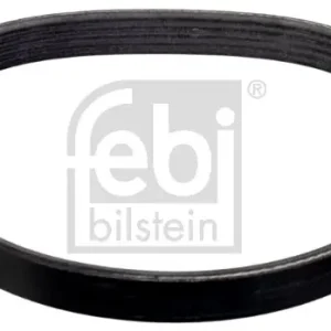 Zamów teraz Pasek klinowy wielorowkowy FEBI BILSTEIN 176318
