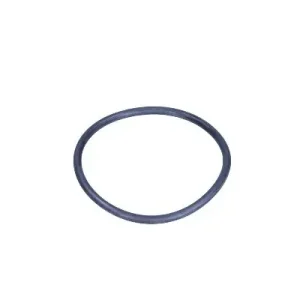Uszczelka, termostat FEBI BILSTEIN 17964 Oferta