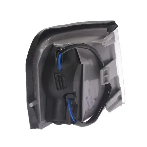 Szybka dostawa Lampa kierunkowskazu TYC 18-3250-15-2