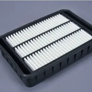 Popularny Filtr powietrza AUTOMEGA 180034710