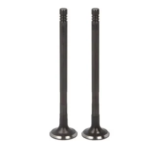 Zawór wydechowy Rabat