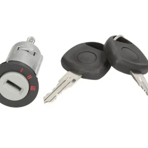 Cylinder zamykany, zablokowanie zapłonu FEBI BILSTEIN 18167 Niska cena