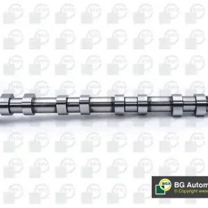 WAŁEK ROZRZĄDU Tylko dziś