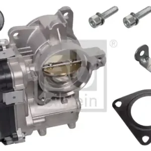 Popularny KORPUS PRZEPUSTNICY