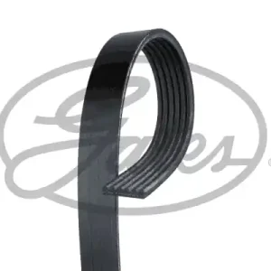 PASEK WIELOROWK.STARY NR 68345 Tani