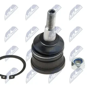 SWORZEŃ WAHACZA Oferta