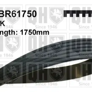 Ostatnia szansa PASEK KLINOWY WIELOROWKOWY 6PK1750