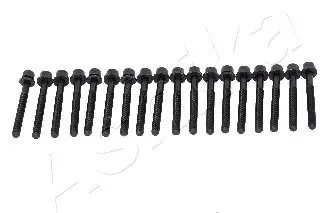 Zestaw śrub głowicy cylindrów ASHIKA 115-01-102 Popularny