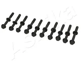 Bezpieczna płatność Zestaw śrub głowicy cylindrów ASHIKA 115-08-801