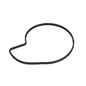 Uszczelka pompy cieczy chłodzącej Oryginalny