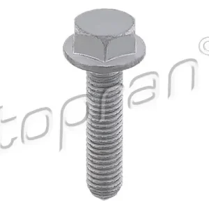 Szybka dostawa Śruba