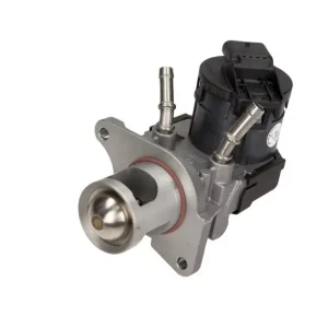 Zawór EGR Ekspresowa dostawa