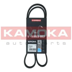 PASEK MICRO-V 5 PK 1094 Tani