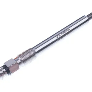 SWIECA ZAROWA Niska cena