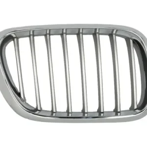 Atrapa P (tytan) BMW X5 (E53) 05.00-12.03 Rabat