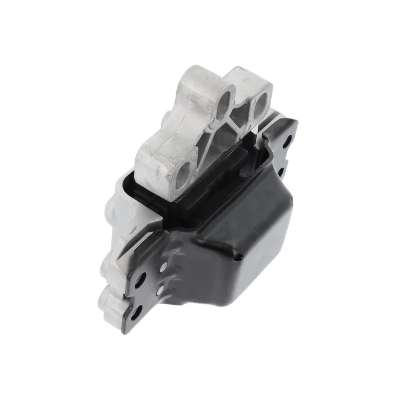 PODUSZKA SKRZ.B. TIGUAN 07- Premium