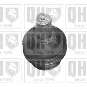 SWORZEŃ WAHACZA Oferta