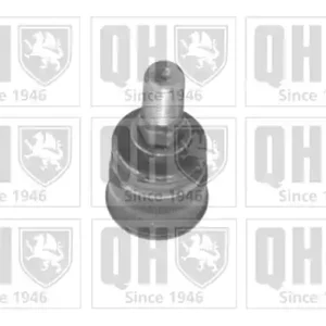 SWORZEŃ WAHACZA DB Zwrot pieniędzy