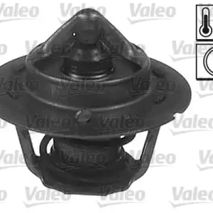 Ekspresowa dostawa TERMOSTAT, PŁYN CHŁODZĄCY