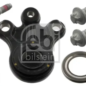 SWORZEŃ WAHACZA Rabat