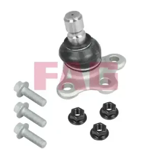 SWORZEŃ WAHACZA Popularny