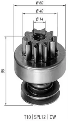 ZĘBNIK, ROZRUSZNIK Promocja