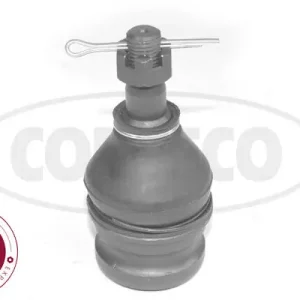 Rabat SWORZEŃ WAHACZA LE. & PR.