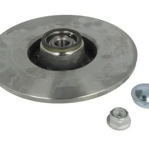 Tarcza hamulcowa DELPHI BG9032RS Zamów teraz